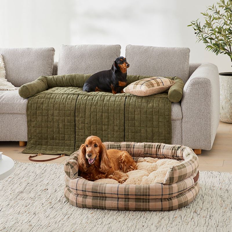 Ziggy Biscuit & Forest Corduroy Pet Bed