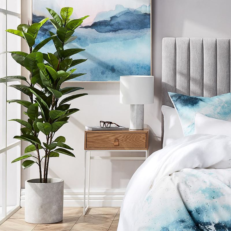 Rubber Fig  Potted Plant 130cm