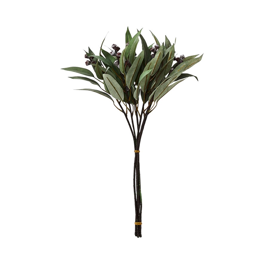 Native Green Gum Stem