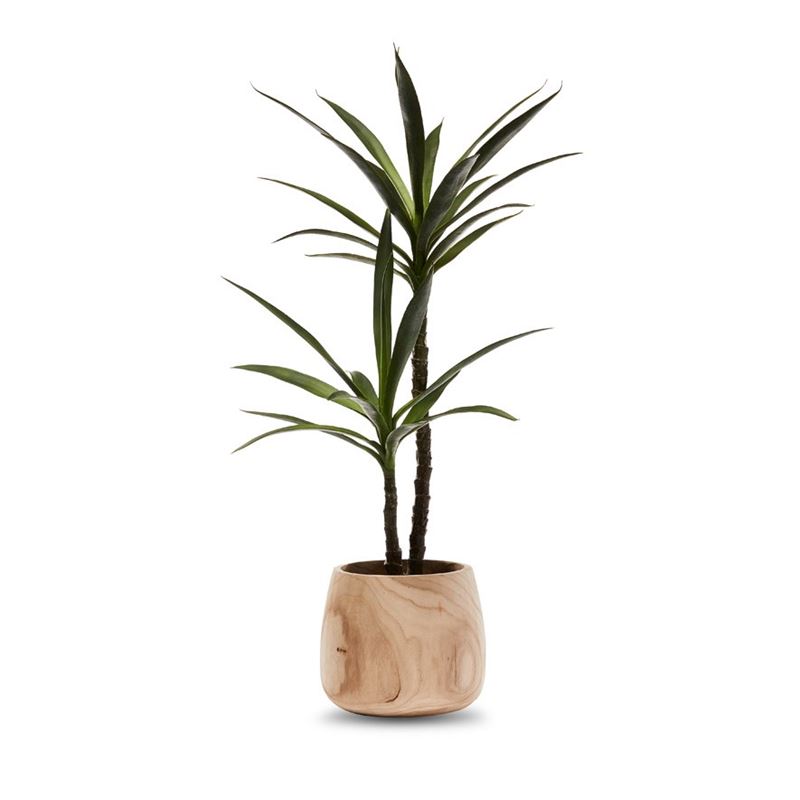 Heneken Potted Plant 110cm