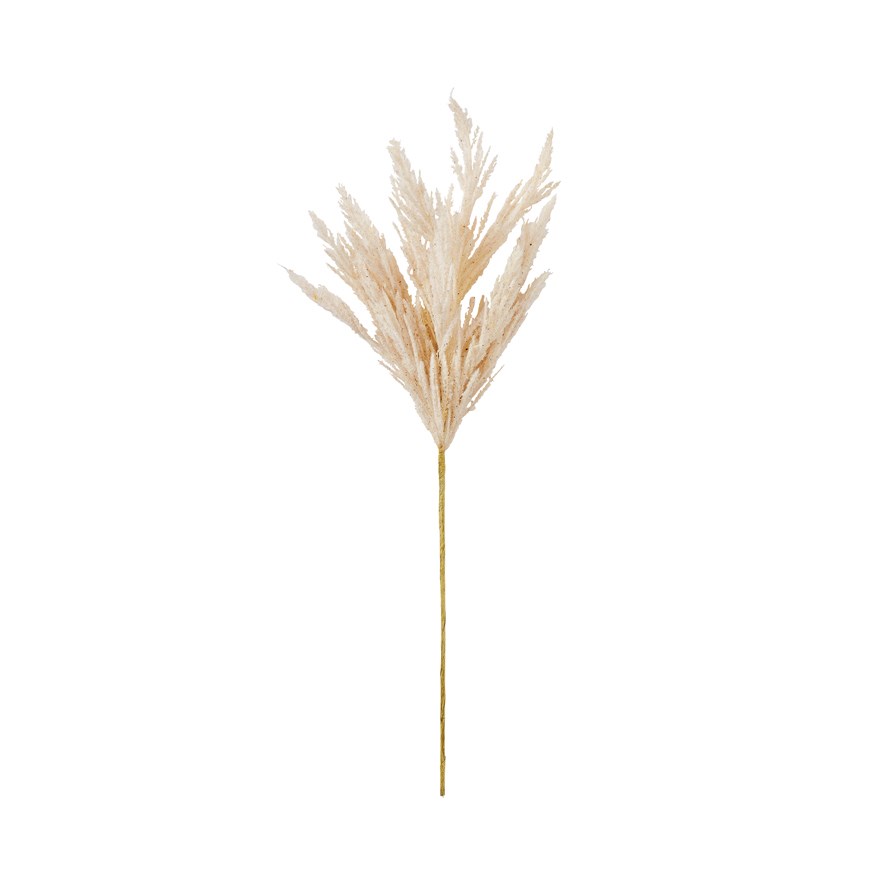Winter Cream Single Pampas Stem