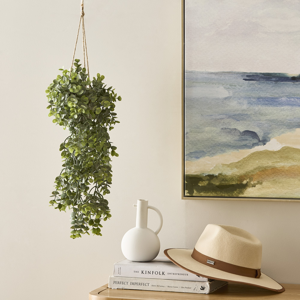Eucalyptus Hanging Fern 45cm