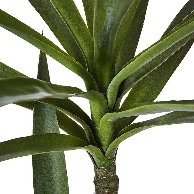 Heneken Potted Plant 110cm