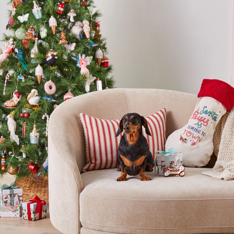 Santa Paws Pet Santa Sack