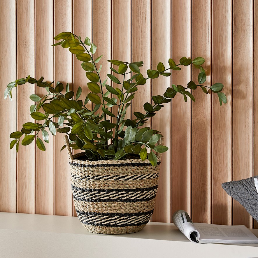 Potted Green Orange Blossom 76cm