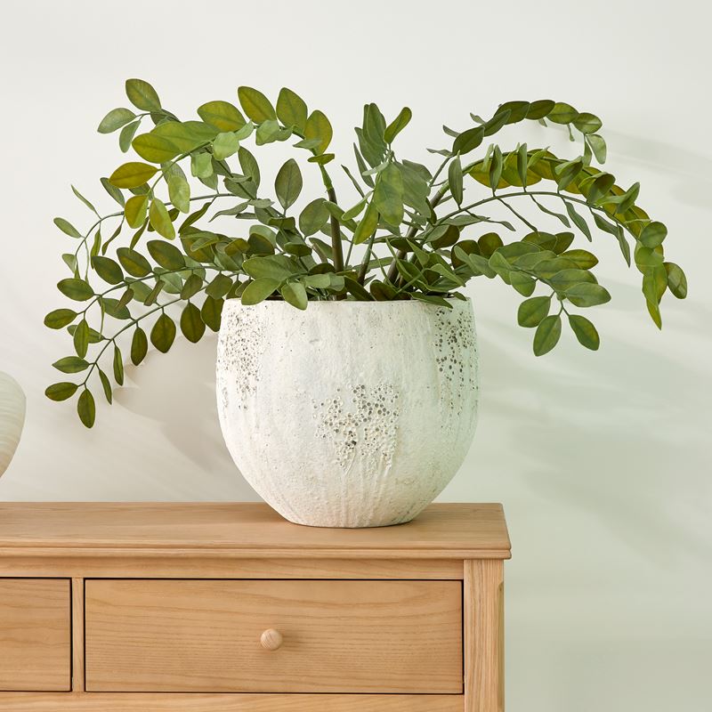 Odyssey Medium Rustic White Pot