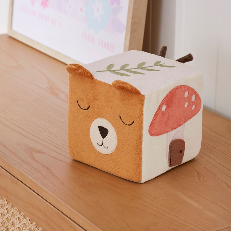 Woodlands Sensory Cube Play Time Baby Toy