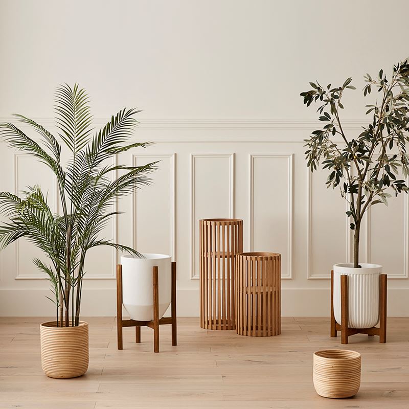 Mark Tuckey Natural Column Plant Stand