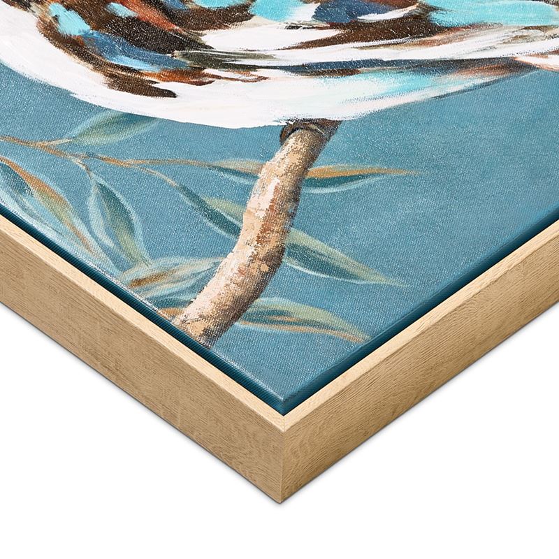 Aves Kookaburra Canvas