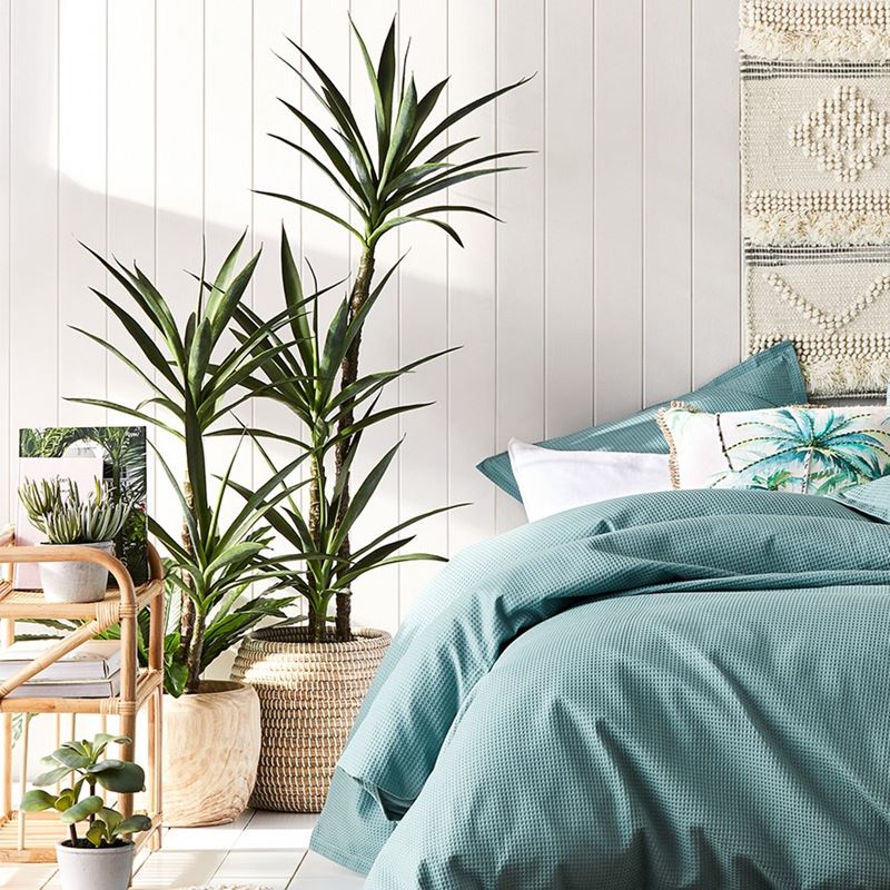 Heneken Potted Plant 110cm