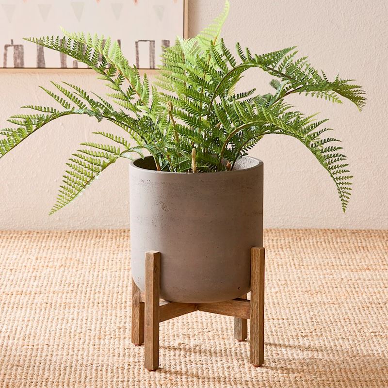 Belgrave Green Potted Plant