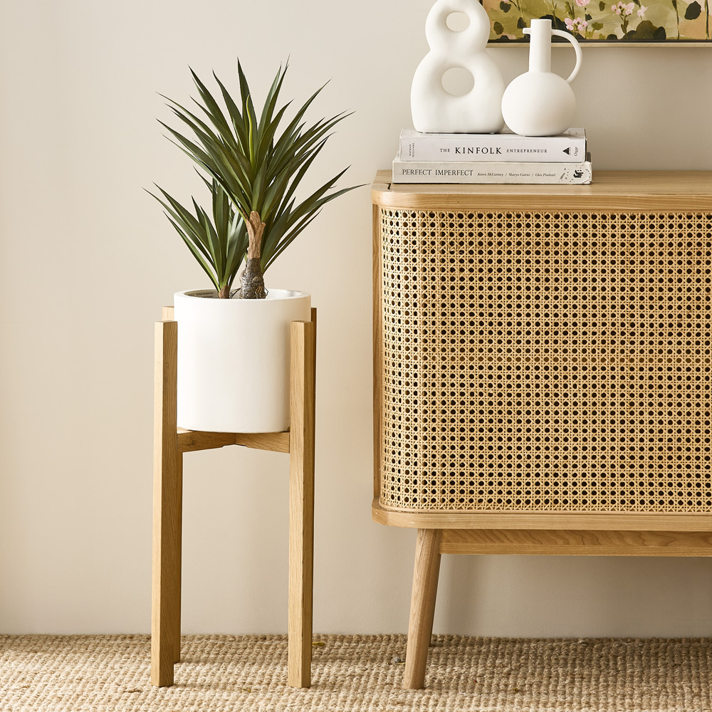 Heneken Potted Plant 53cm