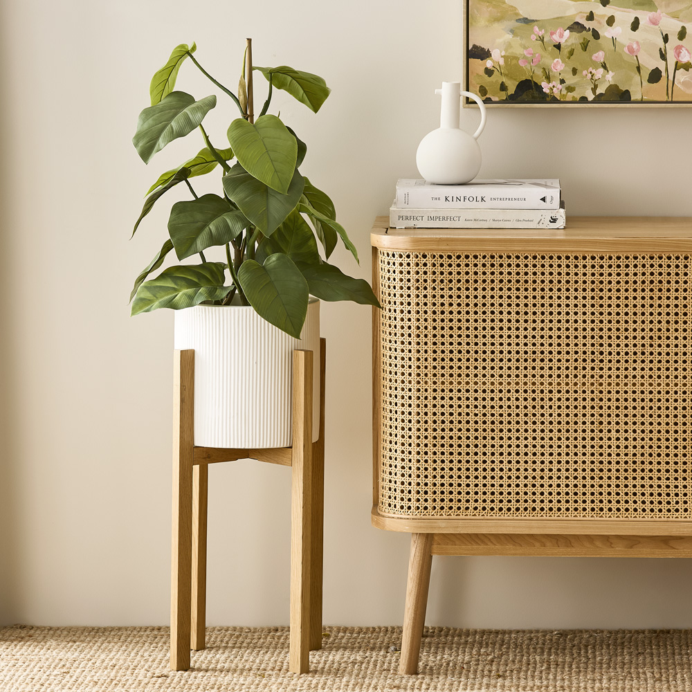 Staked Philodendron 71cm