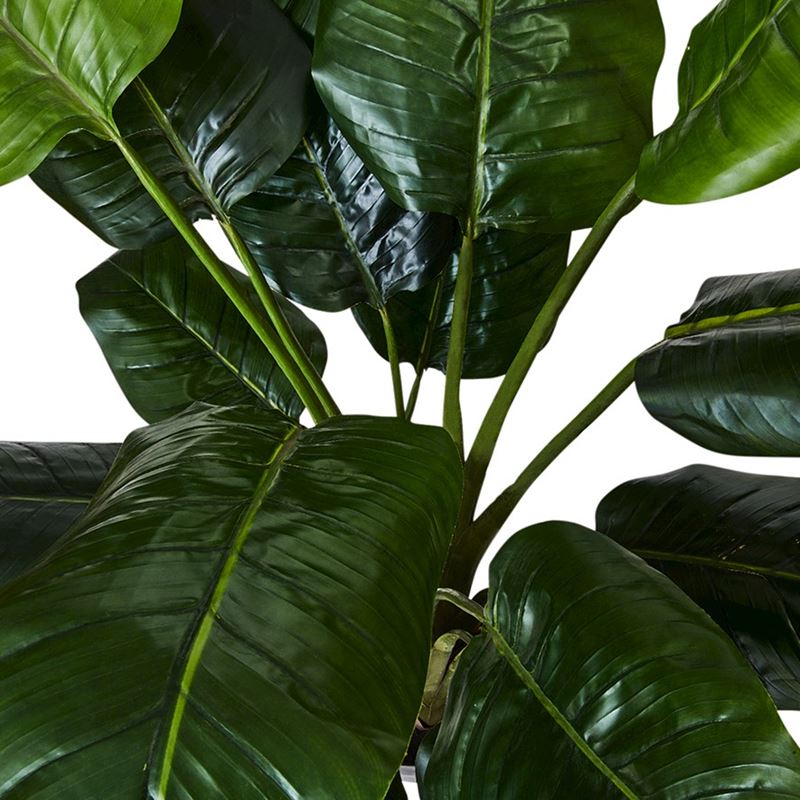 Bird Of Paradise Potted Plant 135cm