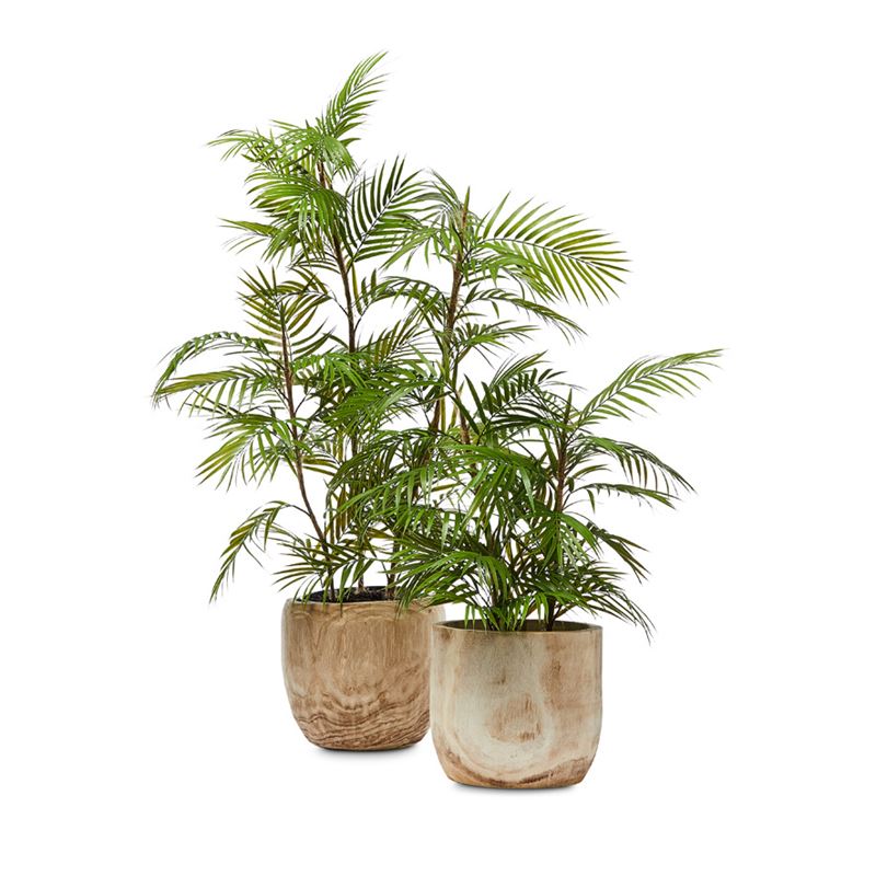 Potted Fern 108cm