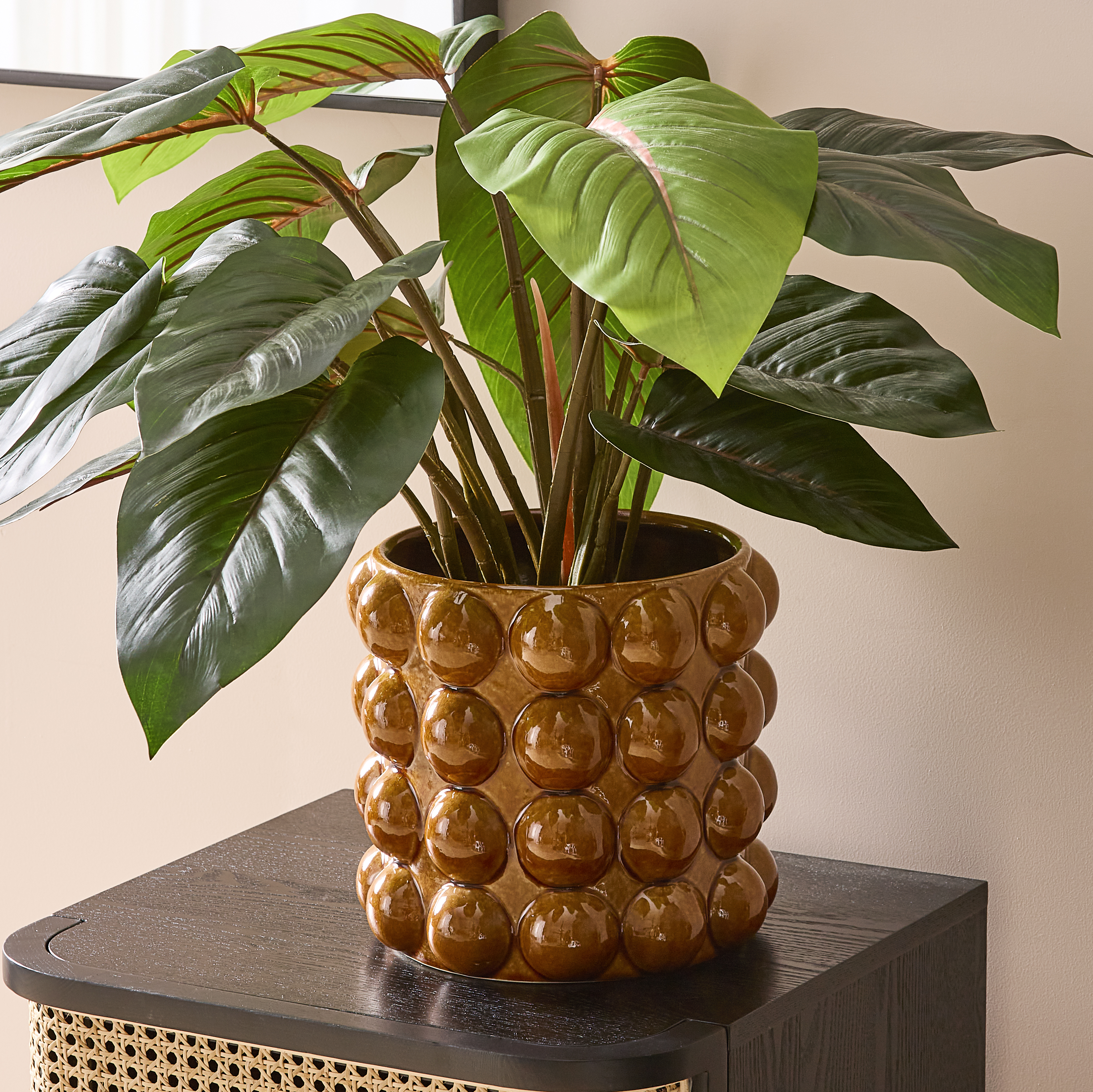 Red Philodendron Potted Plant 60cm