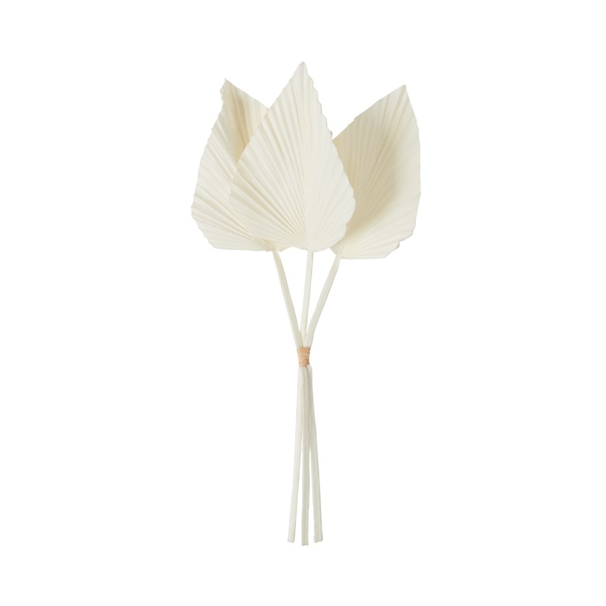 Winter White Fan Bunch Stem