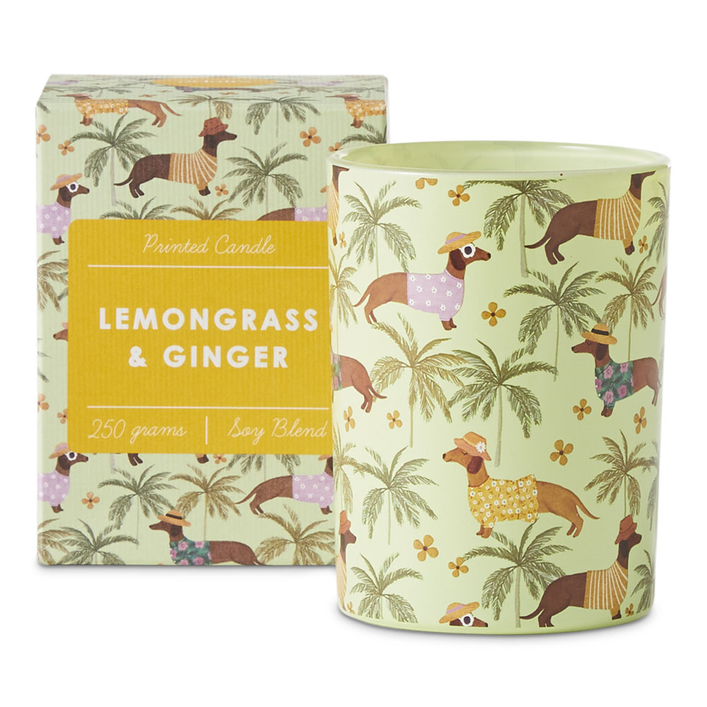 Printed Lemongrass & Ginger Candle