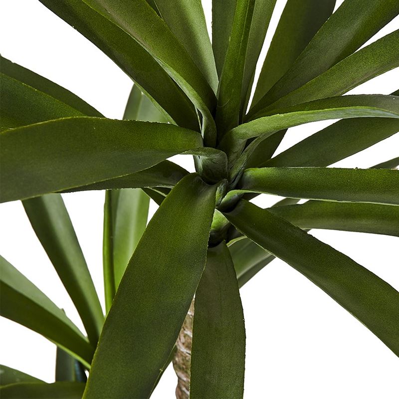 Heneken Potted Plant 150cm