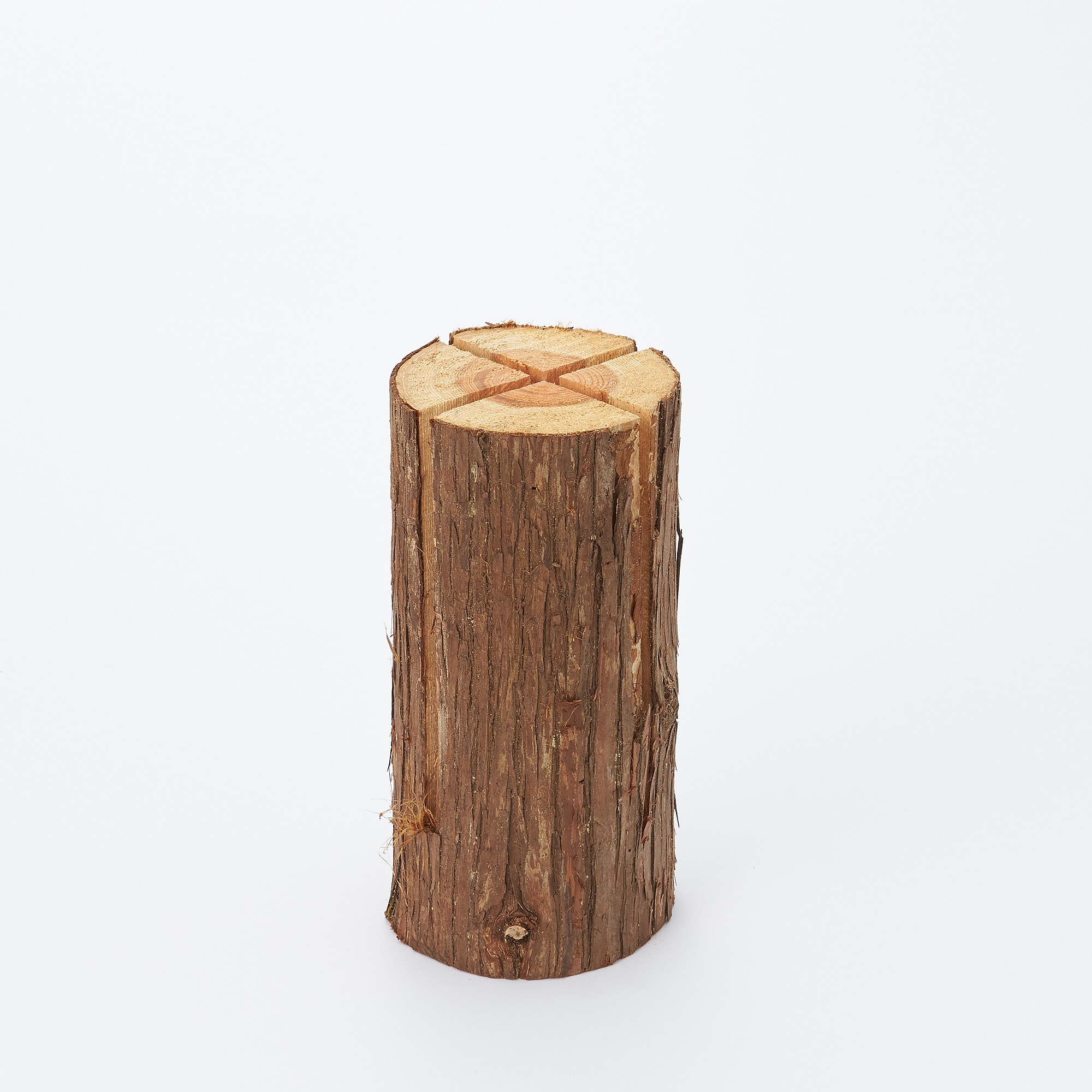 東京の木「スウェディッシュトーチ」（小)