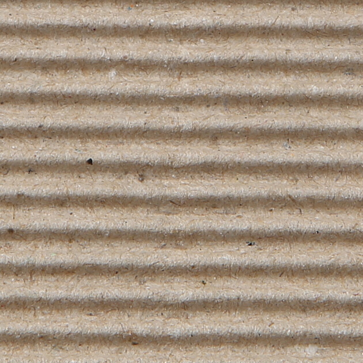 ギフト箱・小　約３１０×２３０×６０ｍｍ