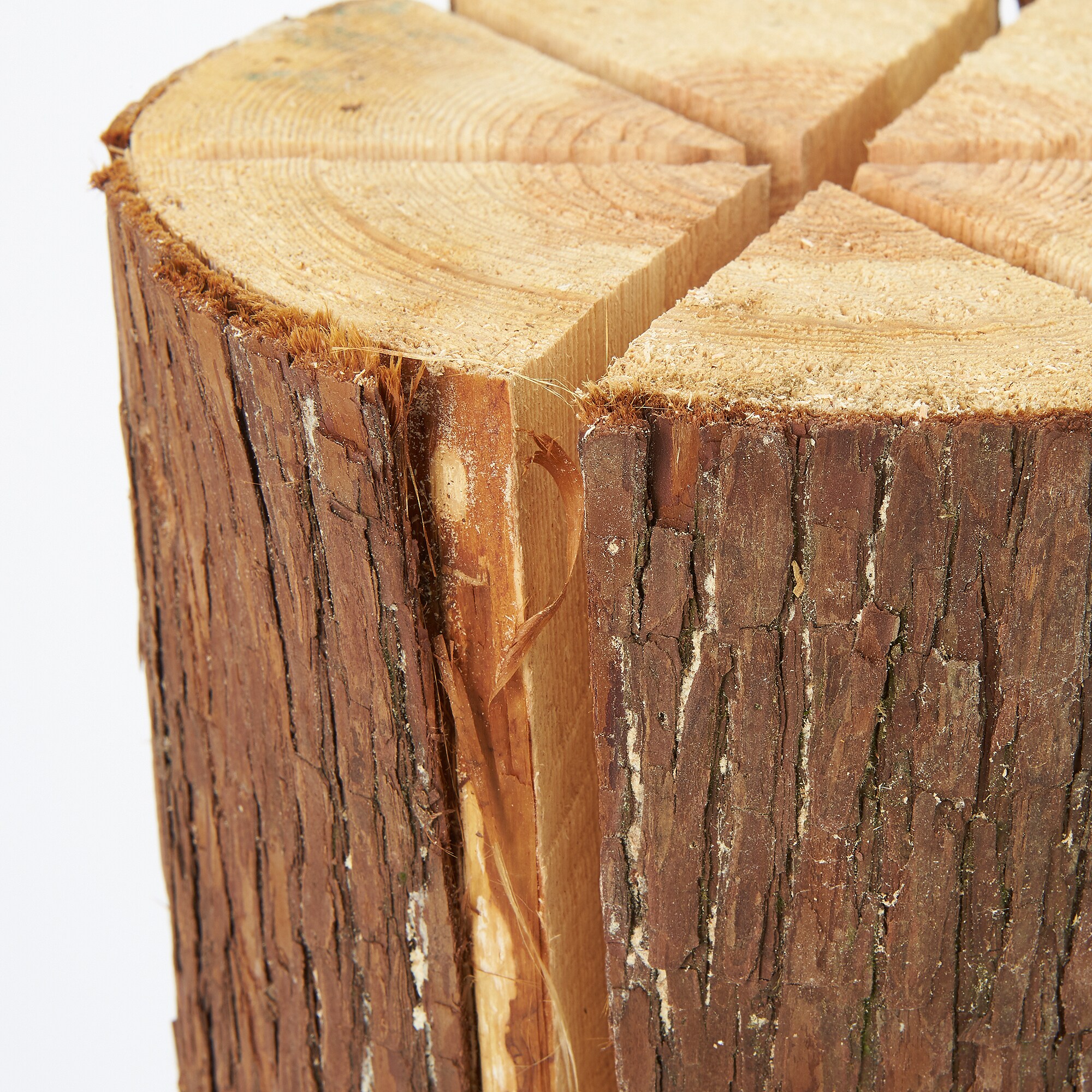 東京の木「スウェディッシュトーチ」（大)