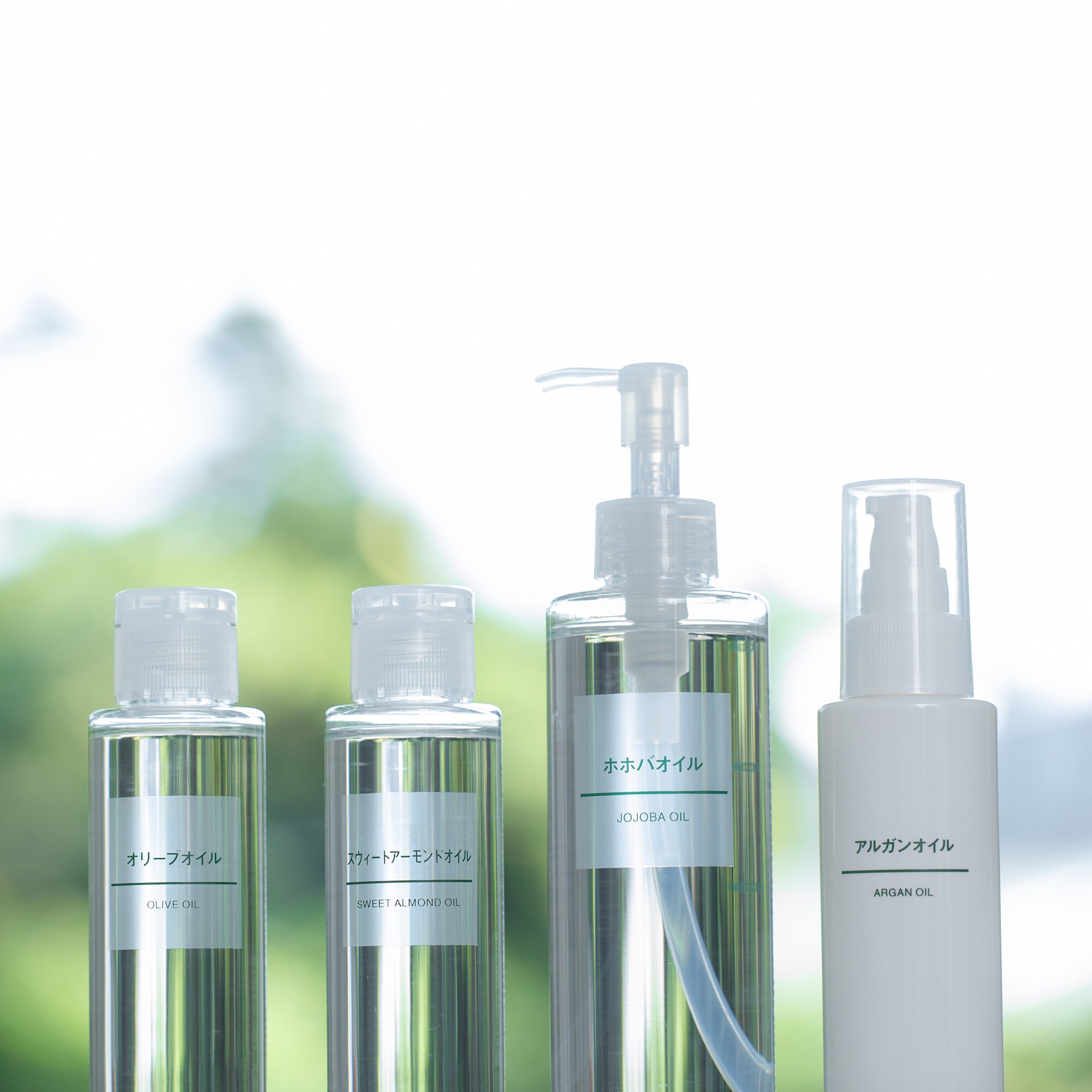 アルガンオイル　１００ｍｌ