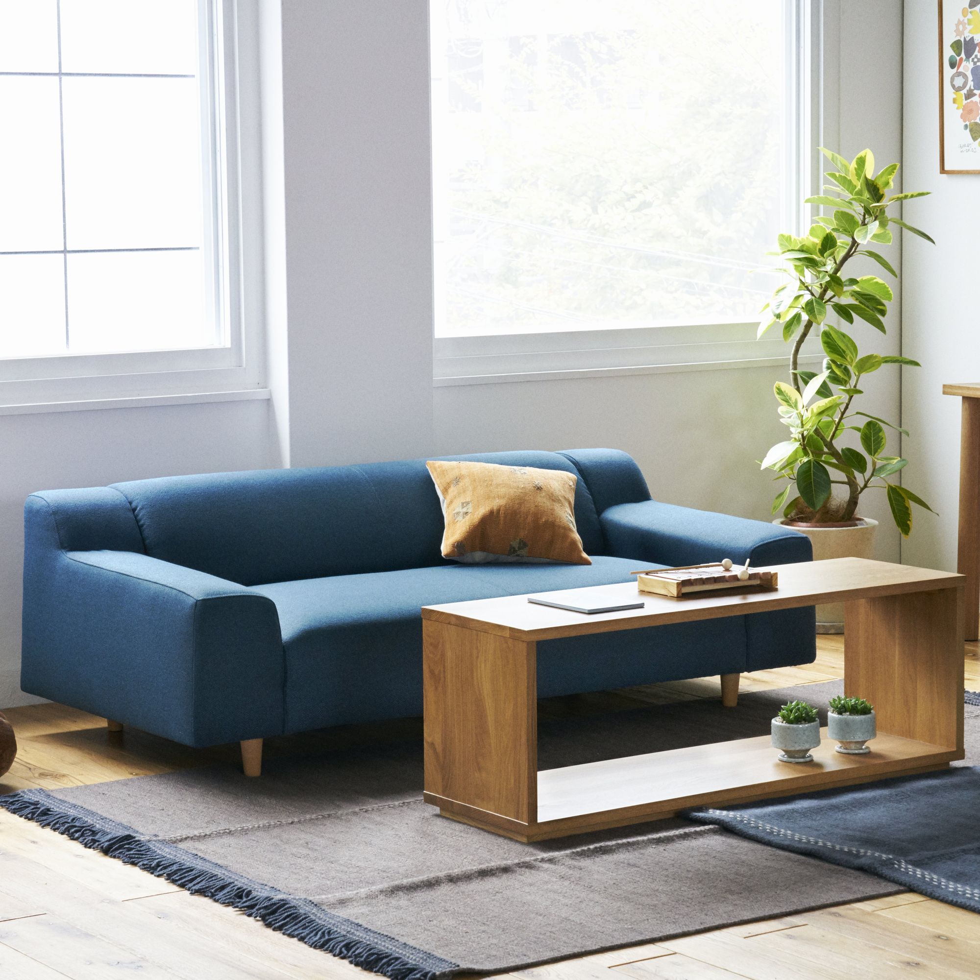 ［ＩＤＥＥ］ＰＬＡＩＳＩＲ　ＳＯＦＡ