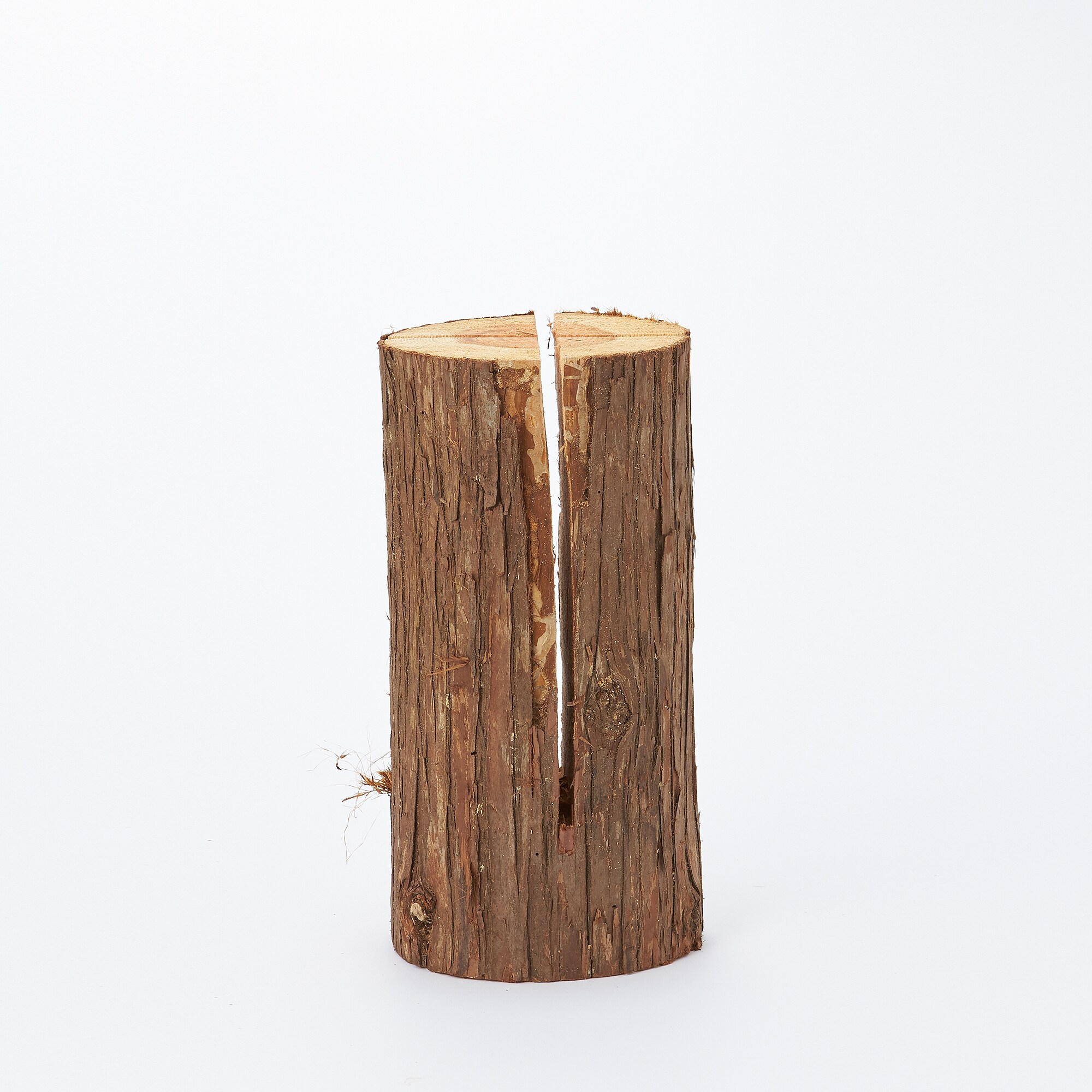 東京の木「スウェディッシュトーチ」（小)