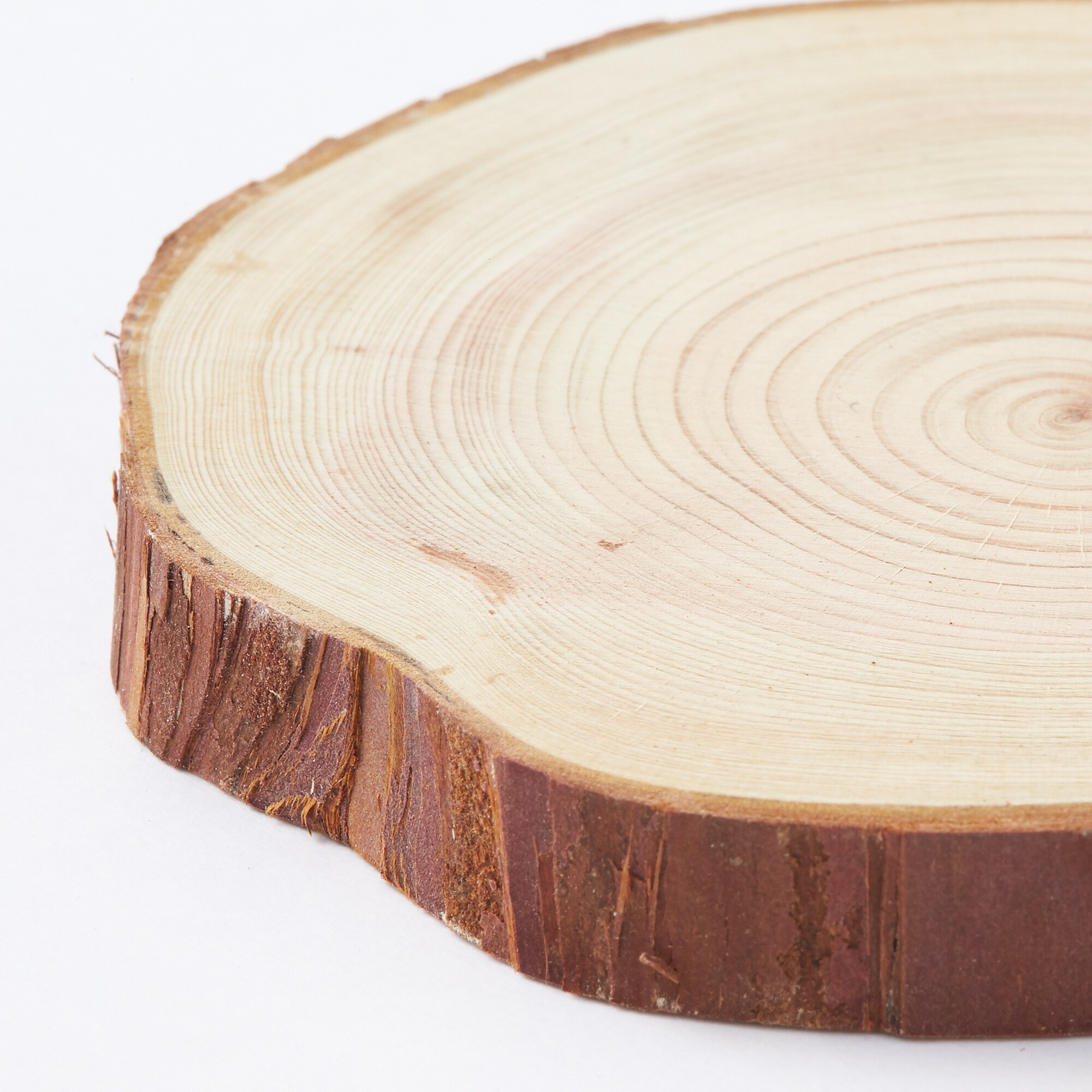 東京の木の「コースター」約直径7～８ｃｍ　2枚セット