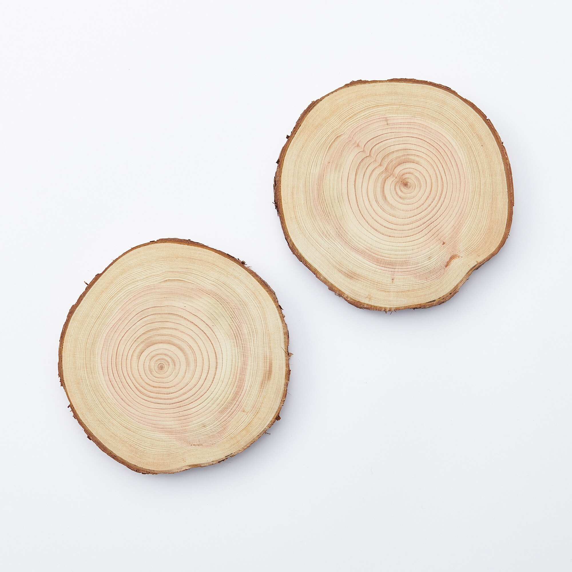 東京の木の「コースター」約直径7～８ｃｍ　2枚セット