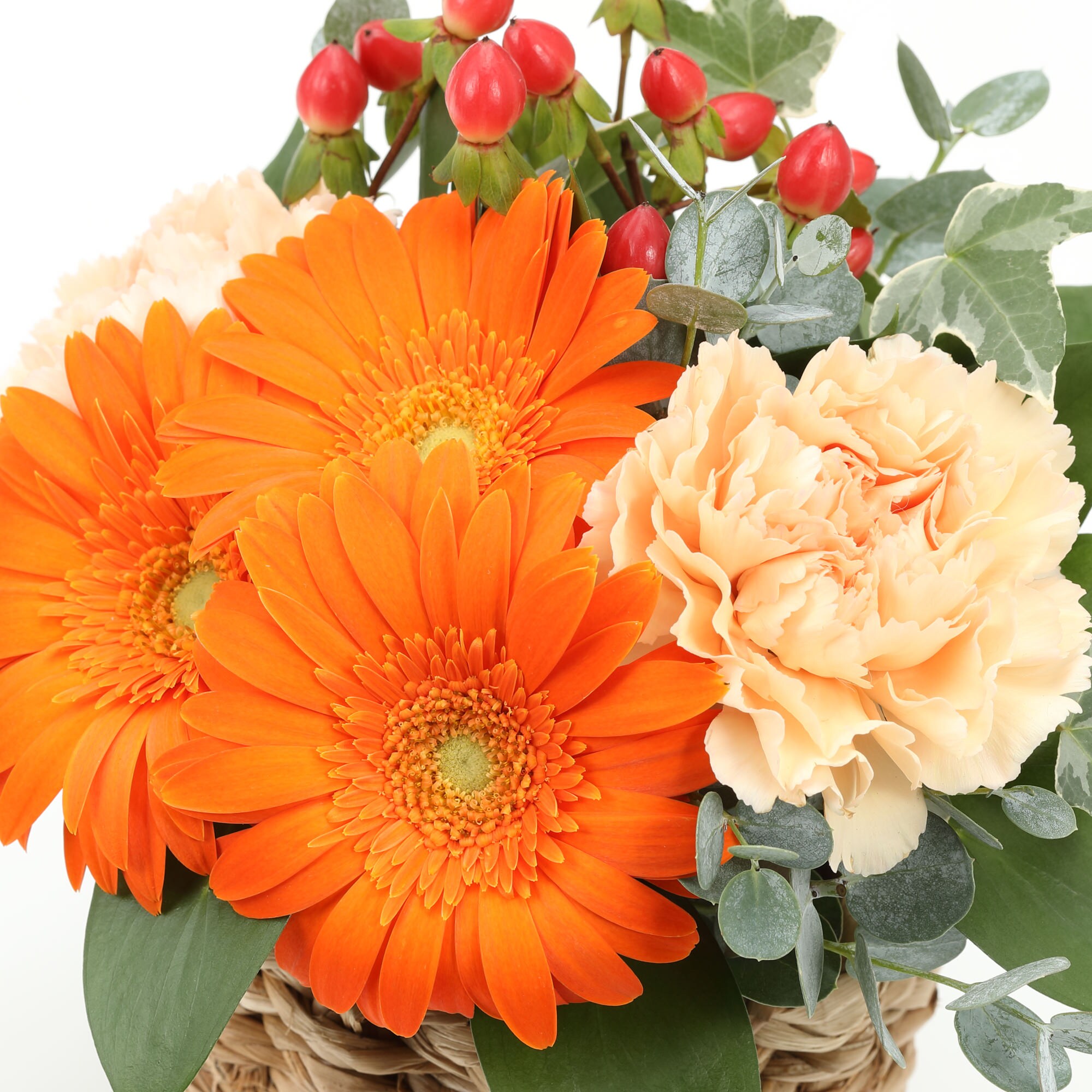 ガーベラのアレンジ・Ｍ　オレンジ