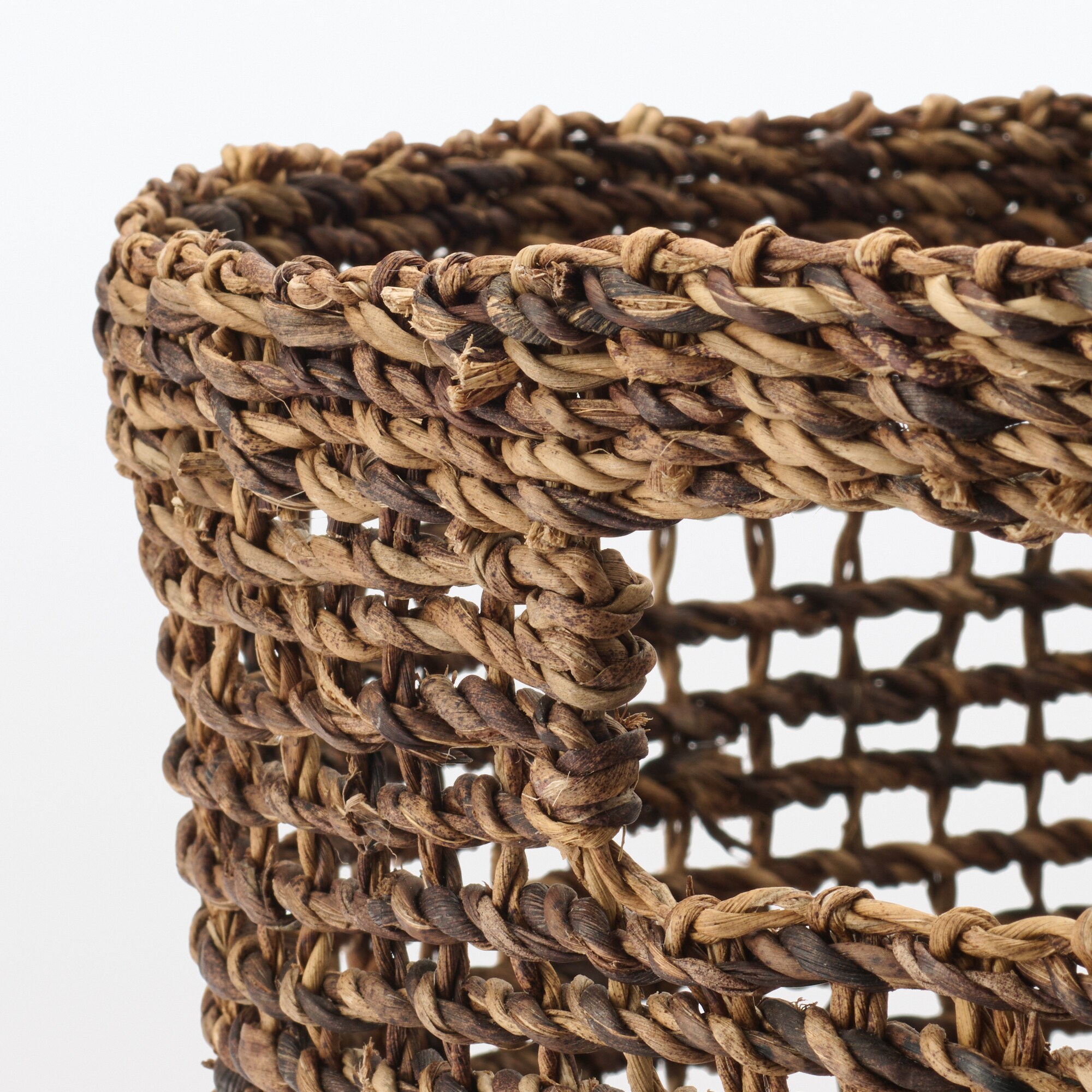 バクバク　持ち手付　オーバルバスケット　大