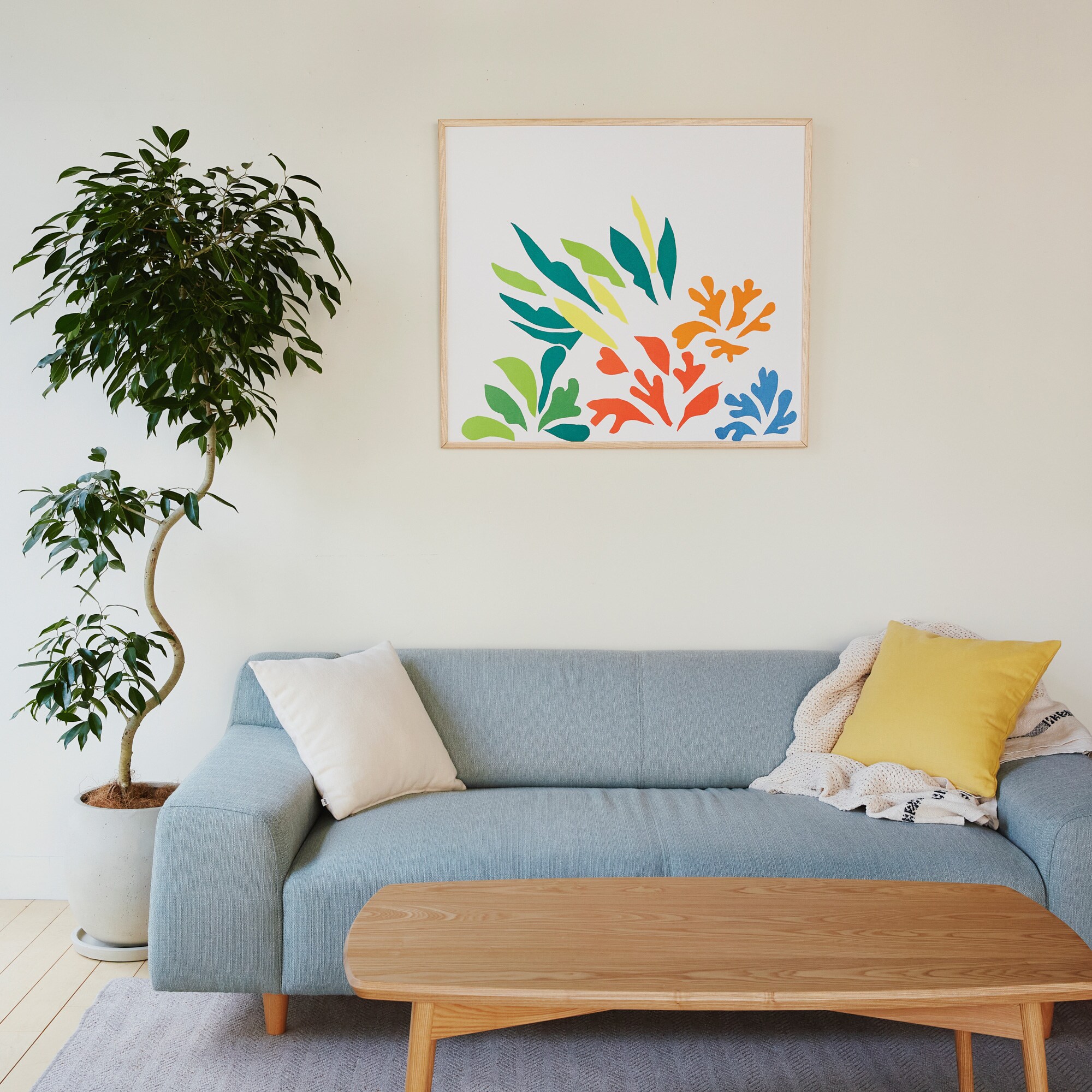 ［ＩＤＥＥ］ＰＬＡＩＳＩＲ　ＳＯＦＡ