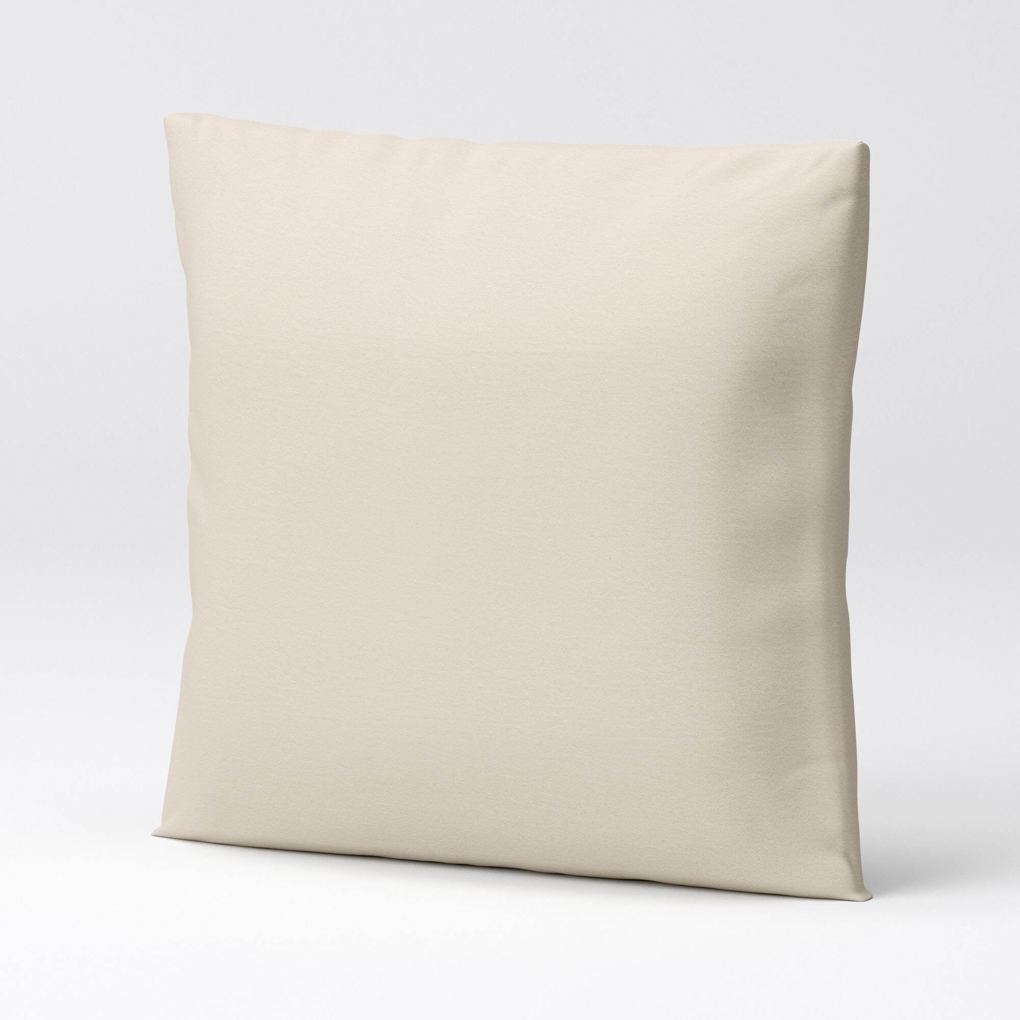 【カバー】洗いざらしの綿帆布ユニットソファ・羽根クッション用カバー／生成