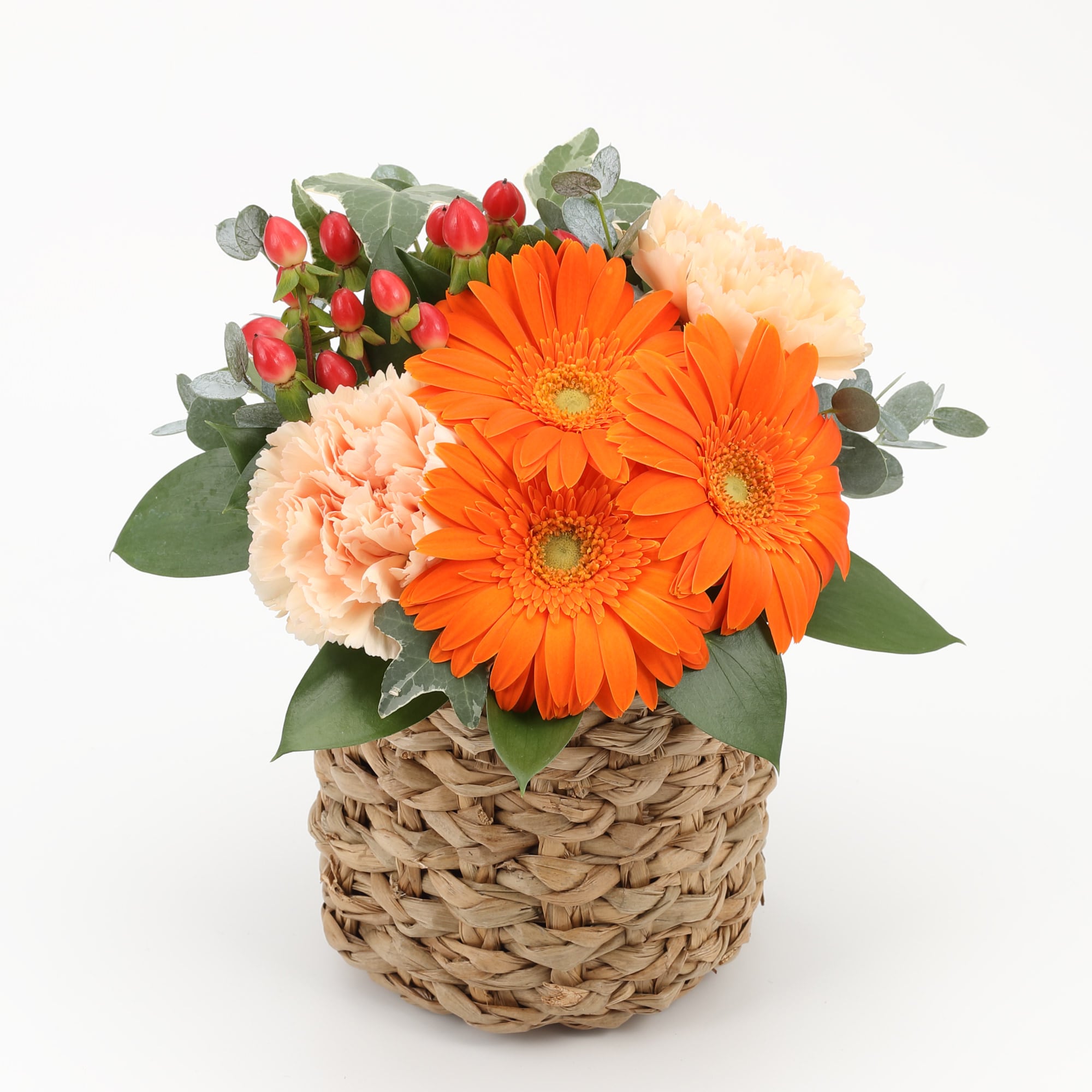 ガーベラのアレンジ・Ｍ　オレンジ