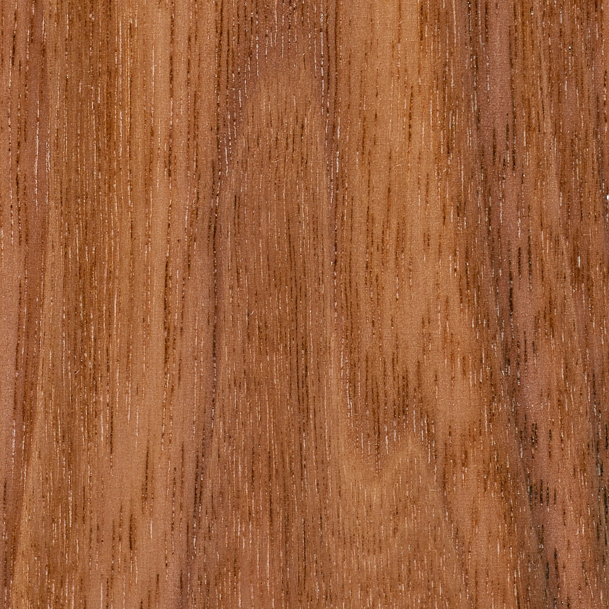 スチールユニットシェルフ用・ボックス・引出し・２段・ウォールナット材