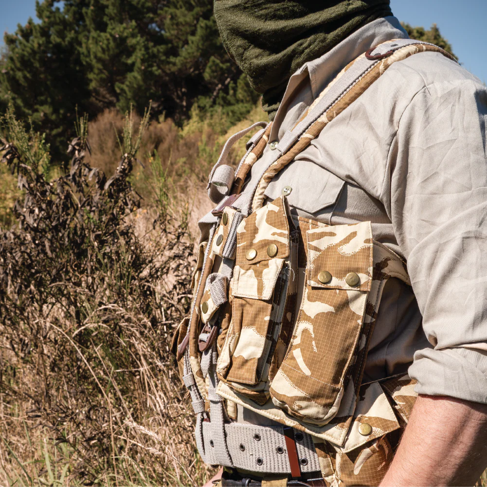 Romanian Army Desert DPM Web Set