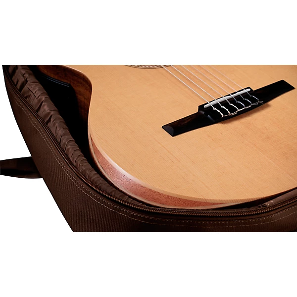 Taylor Academy 12e N Limited Edition Nylon String Classical Acoustic Electric Guitar Natural