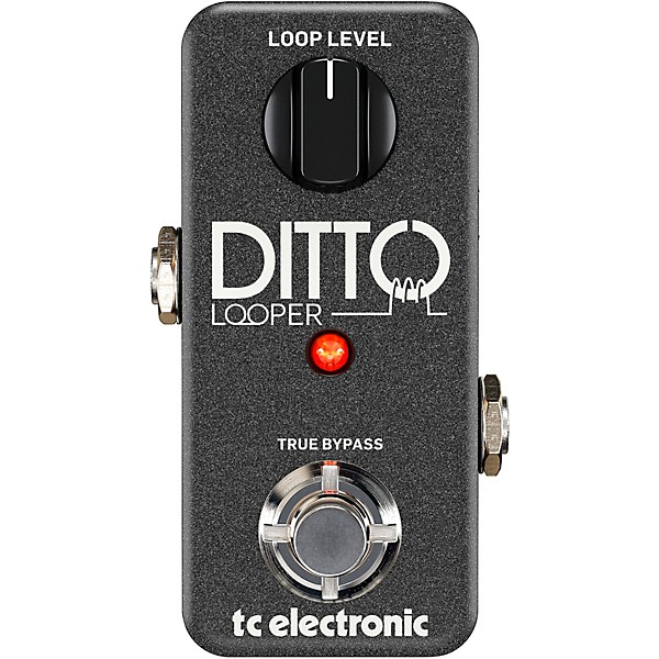 Ditto Looper Guitar Effects Pedal