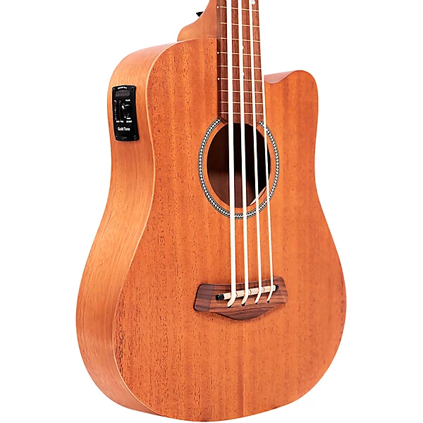 23 Scale Fretless Acoustic Electric MicroBass Natural