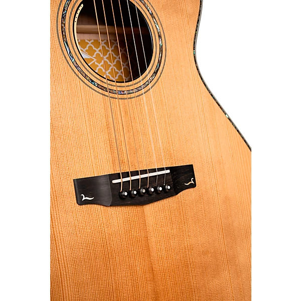 Gold Passion Concert Acoustic Electric Guitar Natural