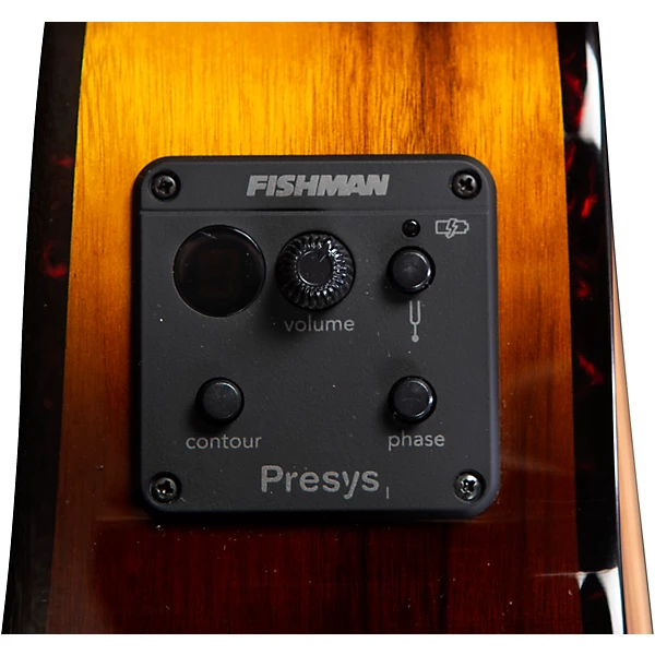 Breedlove Pursuit Exotic All Myrtlewood Companion Acoustic Electric Guitar Tiger's Eye