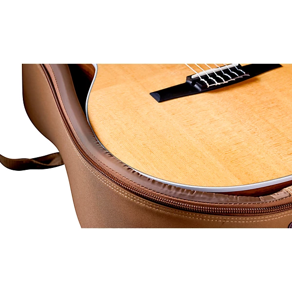 Taylor 214ce N Grand Auditorium Nylon String Acoustic Electric Guitar Natural