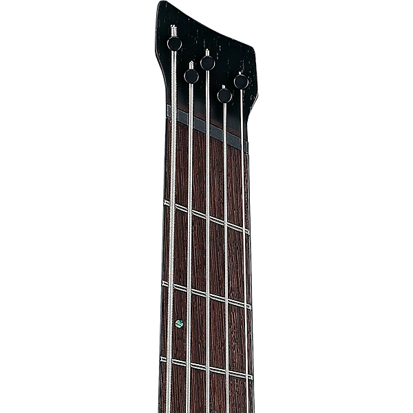 See All Ibanez 5 String Electric Bass