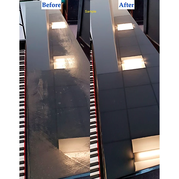 The Piano ONE Cleaner