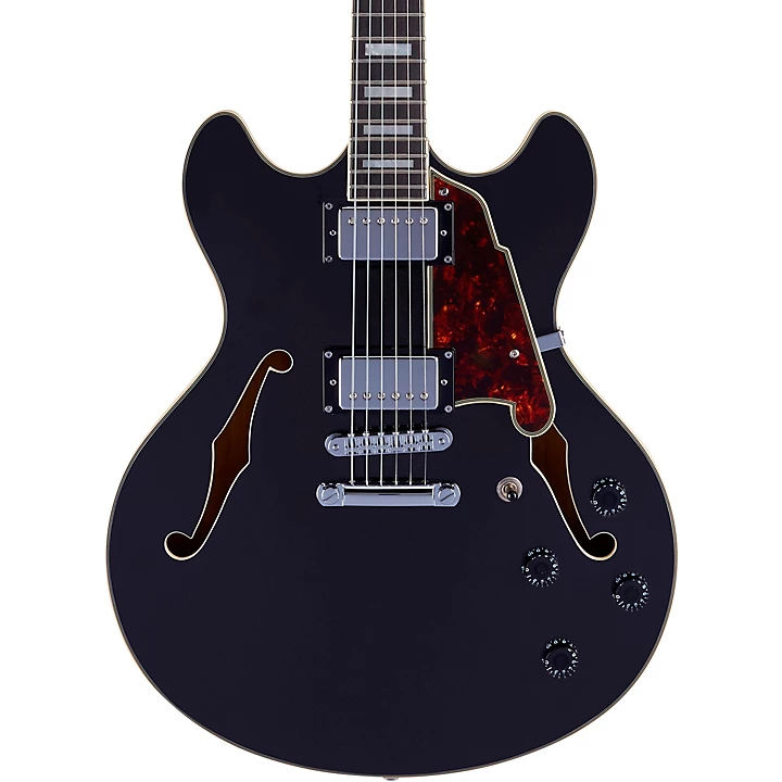 DAngelico Premier DC Semi Hollow Electric Guitar with Stopbar Tailpiece Level 1 Black Flake L00603004004000.gc