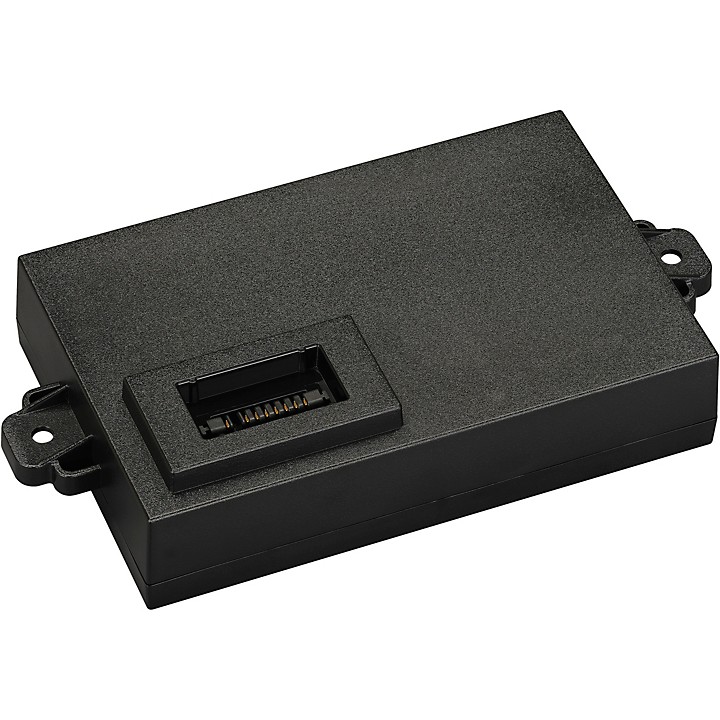 BTR STP200 Spare Battery for STAGEPAS200BTR