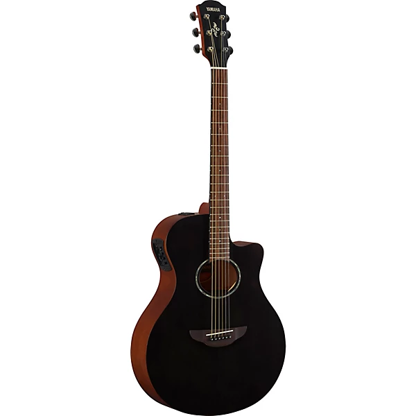 APX600M Acoustic Electric Guitar Smokey Black