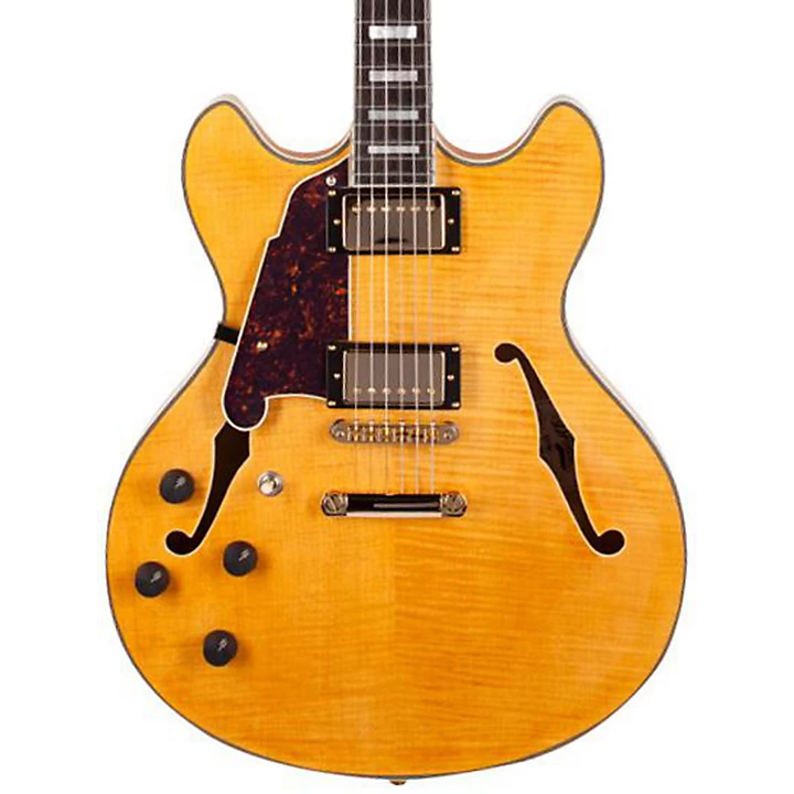 D'Angelico Excel Series DC Left Handed Semi Hollowbody Electric Guitar with Stopbar Tailpiece Natural